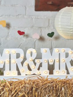 Mr & Mrs Batery Operated Light Up Sign