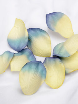 Wedding Confetti Petals - Ivory/Blue