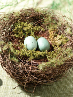 Moss Bird Nest Ring Holder