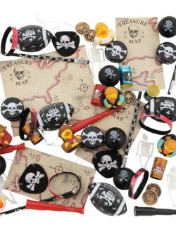 Pirate Toy Assortment