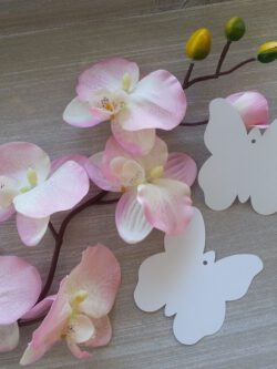 Wishing Tree Card - Butterfly
