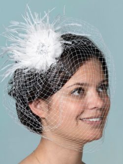 French Net Vintage Bridal Veil With Feather and Crystal Applique
