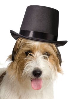 Dog Wedding Top Hat