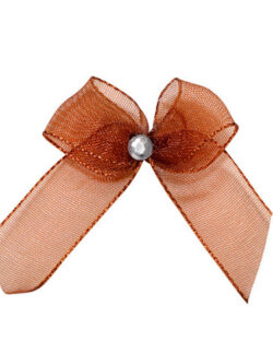 Set 12 Adhesivos Lazo Organza - Marrón